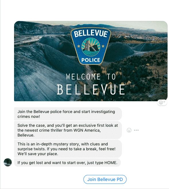 Bellevue police
