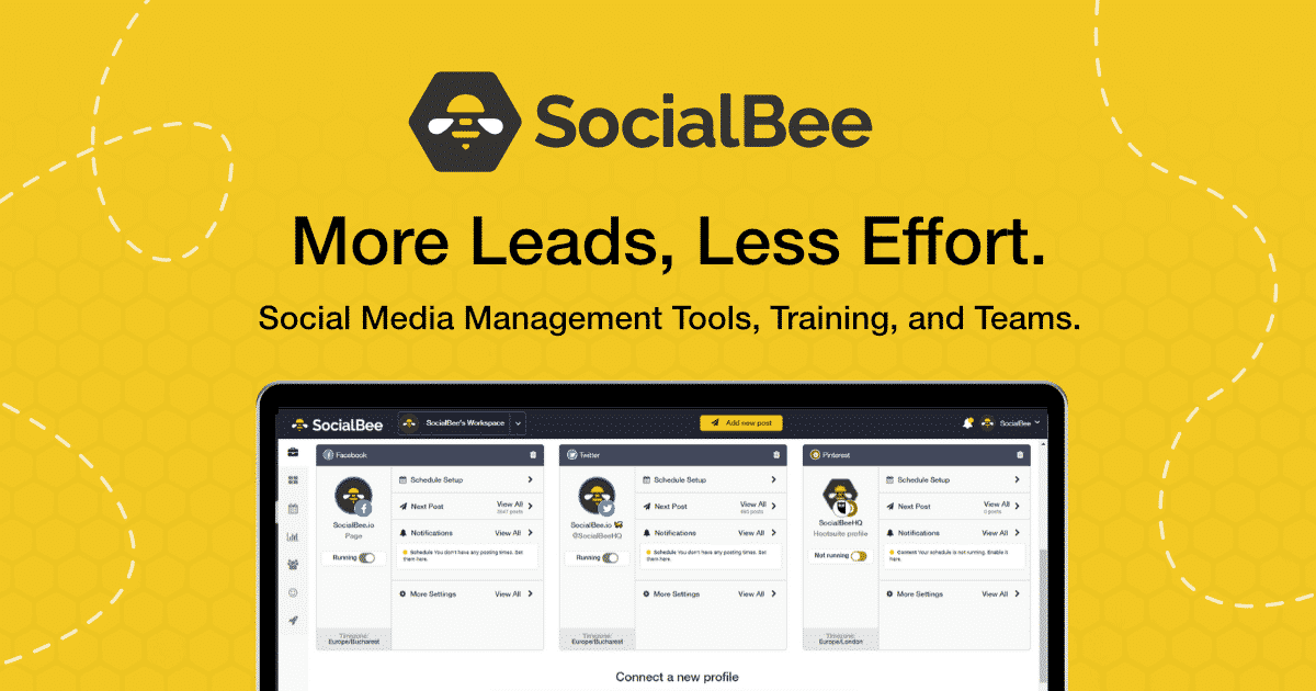 SocialBee | Social Media Management Tools, Training, and Teams