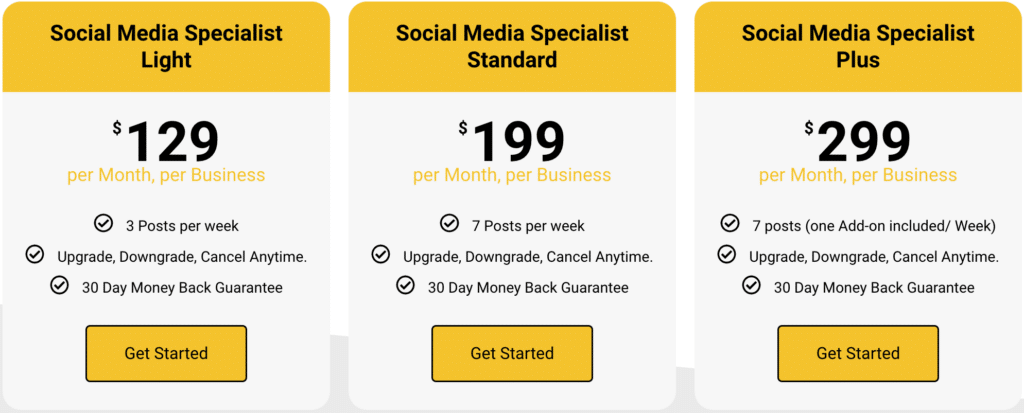 SocialBee's social media specialist service